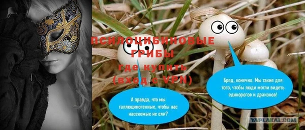 спайс Аркадак