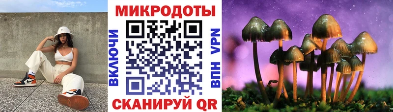 Псилоцибиновые грибы Cubensis  наркотики  Усть-Кут 